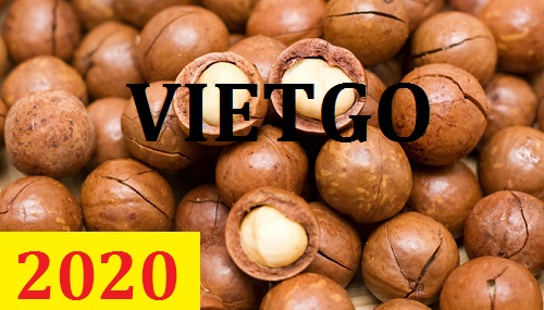 Cơ hội giao thương  - Đơn Hàng Thường Xuyên -  Cơ hội xuất khẩu Hạt Macca sang thị trường Ai Cập