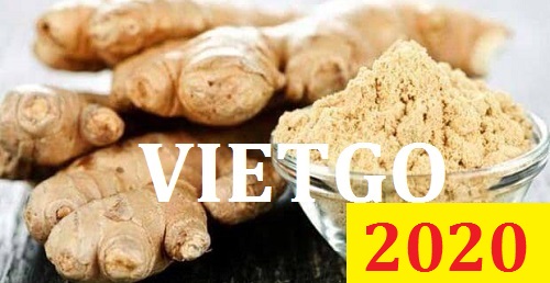 Cơ hội giao thương – Đơn hàng Đặc biệt Thường xuyên - Cơ hội xuất khẩu Gừng khô sang thị trường Pakistan.