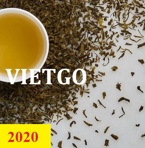 ( Gấp ) Cơ hội giao thương  - Đơn Hàng Thường Xuyên -  Cơ hội xuất khẩu Chè Xanh sang thị trường Ả Rập Xê Út