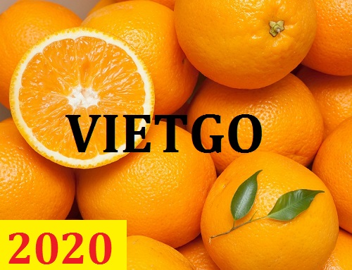 Cơ hội giao thương  - Đơn Hàng Thường Xuyên -  Cơ hội xuất khẩu Cam Vàng sang thị trường Bangladesh