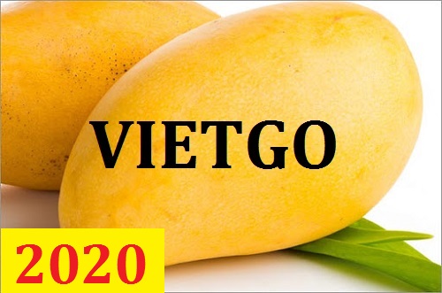 Cơ hội giao thương – Đơn hàng thường xuyên - Cơ hội xuất khẩu Xoài ngọt sang thị trường Pakistan