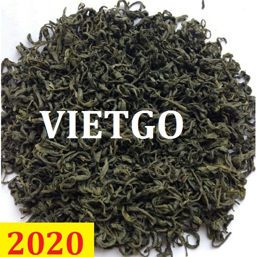 Cơ hội giao thương – Đơn hàng thường xuyên – Cơ hội xuất khẩu Chè xanh sang thị trường Ấn Độ