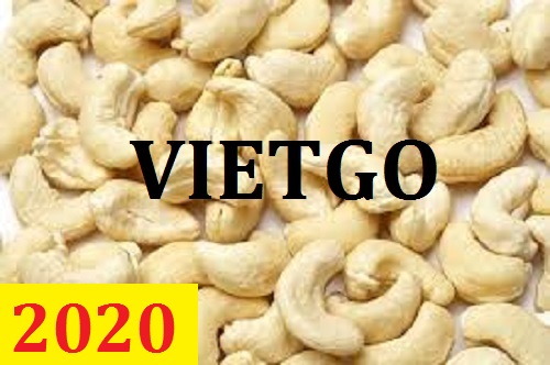 Cơ hội giao thương – Đơn hàng thường xuyên – Cơ hội xuất khẩu hạt điều sang thị trường Ấn Độ