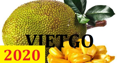 Cơ hội giao thương – Đơn hàng Thường Xuyên - Cơ hội xuất khẩu Mít sang thị trường Bangladesh