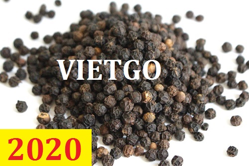 Cơ hội giao thương  - Đơn Hàng Thường Xuyên -  Cơ hội xuất khẩu Tiêu Đen sang thị trường Đan Mạch