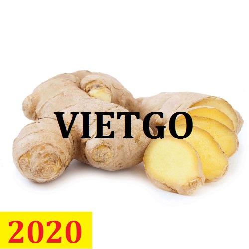 Cơ hội giao thương – Đơn hàng thường xuyên - Cơ hội xuất khẩu Gừng Hữu cơ sang thị trường Madagascar.