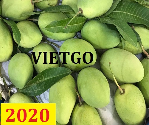 Cơ hội giao thương  - Đơn Hàng Thường Xuyên -  Cơ hội xuất khẩu Quả Xoài sang thị trường Ấn Độ
