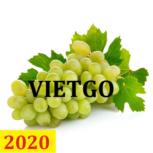 Cơ hội giao thương  - Đơn Hàng Thường Xuyên -  Cơ hội xuất khẩu Quả Nho sang thị trường Ấn Độ