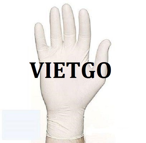 Cơ hội giao thương – Cơ hội xuất khẩu Găng tay cao su đến từ vị khách hàng người Ấn Độ