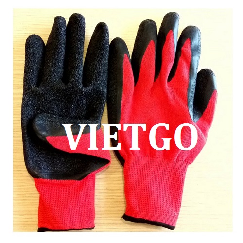 Cơ hội giao thương – Cơ hội xuất khẩu găng tay lao động sang thị trường Indonesia