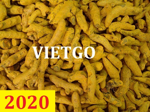 Cơ hội giao thương  - Đơn Hàng Thường Xuyên -  Cơ hội xuất khẩu Nghệ Khô sang thị trường Đan Mạch