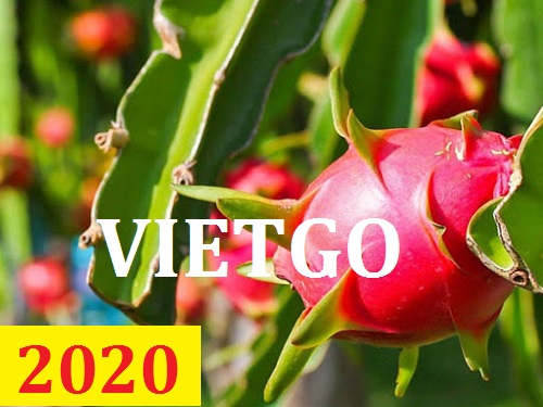 Cơ hội giao thương  - Đơn Hàng Thường Xuyên -  Cơ hội xuất khẩu Thanh Long sang thị trường Qatar