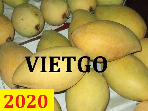 Cơ hội giao thương – Đơn hàng thường xuyên – Cơ hội xuất khẩu Quả Xoài sang thị trường Nga.