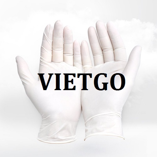 Cơ hội giao thương – Cơ hội xuất khẩu găng tay y tế cho một doanh nghiệp tại Hoa Kỳ