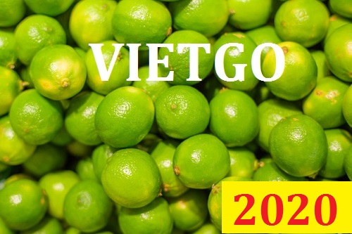 Cơ hội giao thương Đặc Biệt  - Đơn Hàng Thường Xuyên -  Cơ hội xuất khẩu Chanh Xanh sang thị trường Maldives