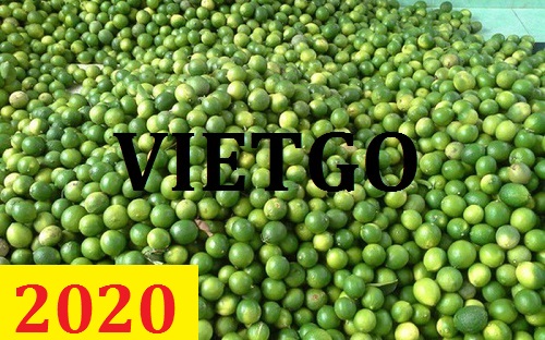 Cơ hội giao thương – Đơn hàng thường xuyên – Cơ hội xuất khẩu chanh xanh sang thị trường Ấn Độ.
