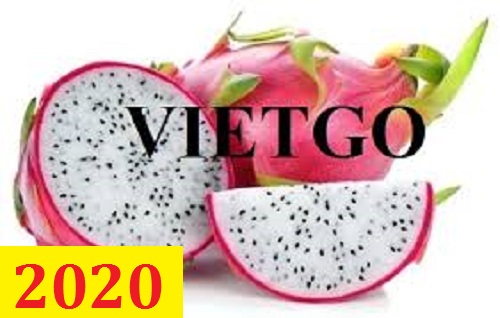 Cơ hội giao thương – Đơn hàng thường xuyên – Cơ hội xuất khẩu thanh long sang thị trường Dubai.