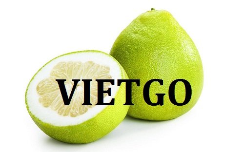 Cơ hội giao thương  - Đơn Hàng Thường Xuyên -  Cơ hội xuất khẩu Quả Bưởi sang thị trường Nga