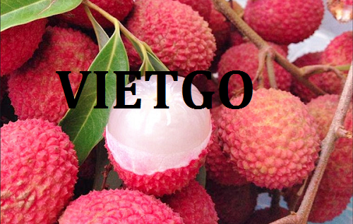 Cơ hội giao thương  - Đơn Hàng Thường Xuyên -  Cơ hội xuất khẩu Quả Vải sang thị trường Qatar
