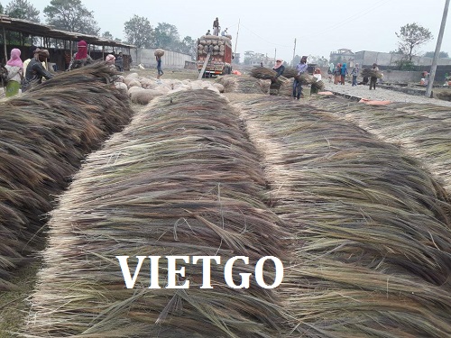 Cơ hội giao thương– Đơn hàng Thường Xuyên - Cơ hội xuất khẩu Sợi Chổi Chít sang thị trường Ấn Độ