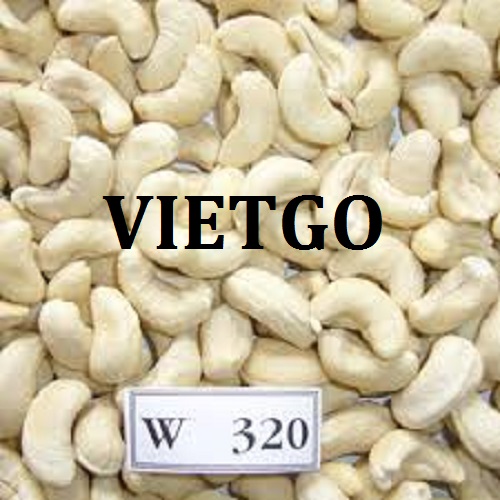 Cơ hội giao thương – Đơn hàng thường xuyên – Cơ hội xuất khẩu hạt điều sang thị trường Ấn Độ.