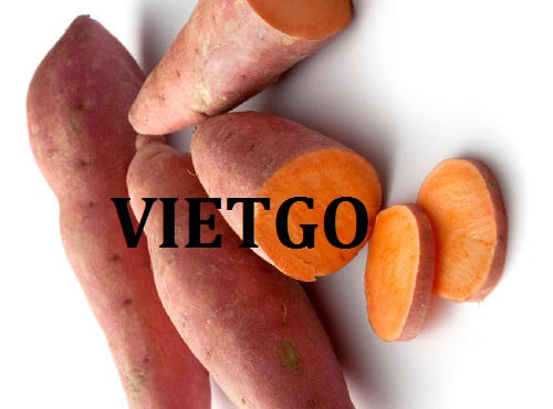 Cơ hội giao thương  - Đơn Hàng Thường Xuyên -  Cơ hội xuất khẩu Khoai Lang sang thị trường Congo