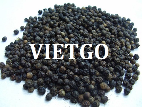Cơ hội giao thương – Đơn hàng thường xuyên – Cơ hội xuất khẩu hạt tiêu sang thị trường Dubai