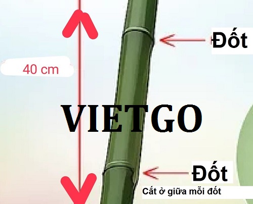 Cơ hội giao thương – Cơ hội xuất khẩu Ống tre sang thị trường Đan Mạch
