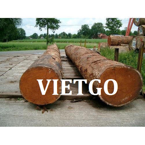 Cơ Hội Giao Thương - Đơn Hàng Thường Xuyên – Cơ Hội Xuất Khẩu Gỗ Merbau Tròn Sang Thị Trường Ấn Độ