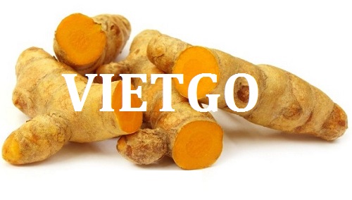 Cơ hội giao thương Đặc Biệt  - Đơn Hàng Thường Xuyên -  Cơ hội xuất khẩu Nghệ sang thị trường Ấn Độ