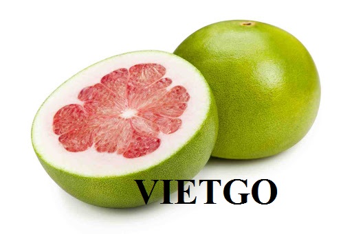 Cơ hội giao thương Đặc Biệt  - Đơn Hàng Thường Xuyên -  Cơ hội xuất khẩu Quả Bưởi sang thị trường Ấn Độ