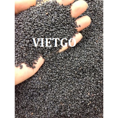Cơ hội giao thương – Đơn hàng thường xuyên - Cơ hội xuất khẩu Vừng sang thị trường Ấn Độ