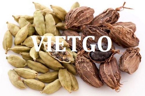CCơ hội giao thương – Đơn hàng thường xuyên - Cơ hội xuất khẩu Thảo quả sang thị trường Ấn Độ.