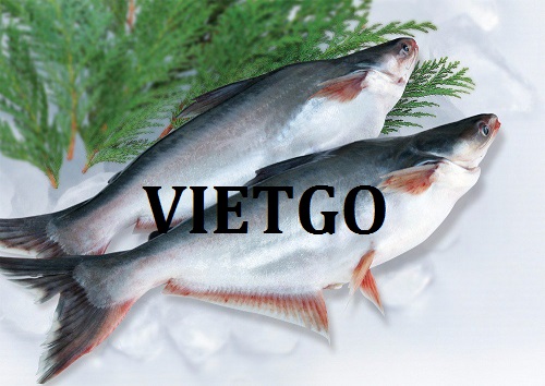 Cơ hội giao thương – Đơn hàng cả năm – Một doanh nghiệp tại Mỹ đang cần tìm đối tác cung cấp cá Swai tại Việt Nam
