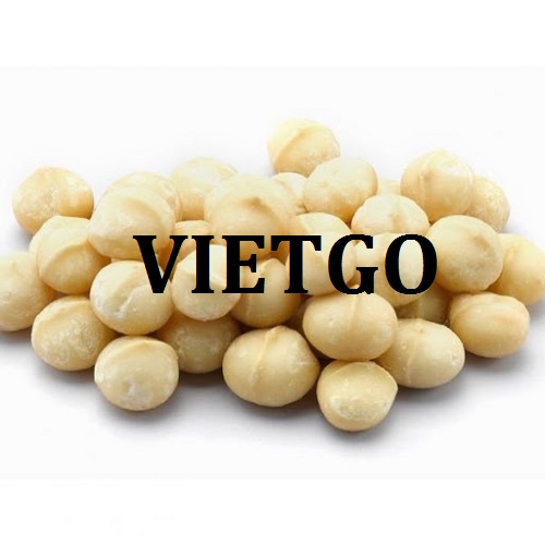 Cơ hội giao thương  - Đơn Hàng Thường Xuyên -  Cơ hội xuất khẩu Hạt Macca sang thị trường Trung Quốc
