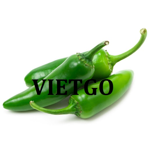 Cơ hội giao thương Đặc Biệt - Đơn Hàng Thường Xuyên -  Cơ hội xuất khẩu Ớt Xanh sang thị trường Dubai
