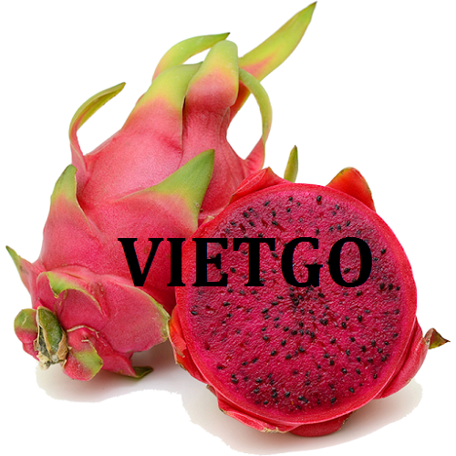 Cơ hội giao thương - Đơn Hàng Thường Xuyên -  Cơ hội xuất khẩu Thanh Long sang thị trường Trung Quốc