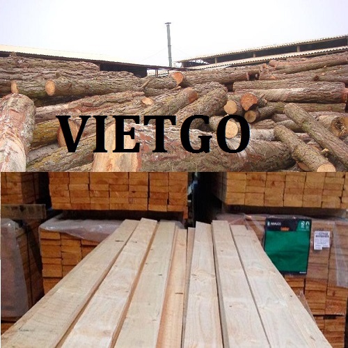 Cơ Hội Giao Thương Đặc biệt - Đơn Hàng Thường Xuyên – Cơ Hội Xuất Khẩu Gỗ Thông Xẻ Và Tròn Sang Thị Trường Ấn Độ.