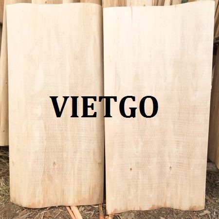 Cơ hội giao thương – Đơn hàng hàng tháng - Cơ hội xuất khẩu Ván bóc bạch đàn sang Trung Quốc
