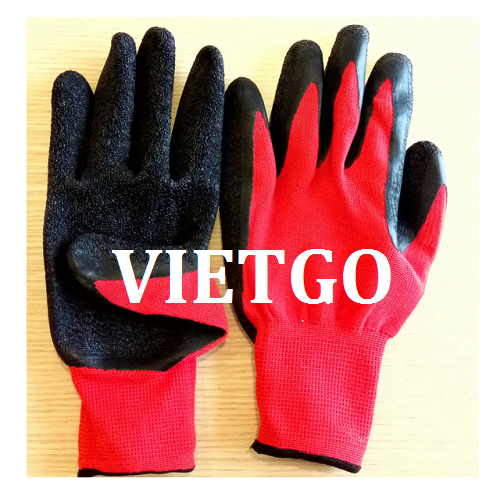 Cơ hội giao thương – Cơ hội xuất khẩu găng tay lao động tới thị trường Tây Ban Nha