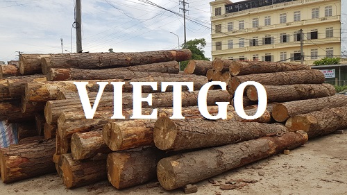Cơ hội giao thương – Đơn hàng hàng tháng - Cơ hội xuất khẩu Gỗ thông tròn sang Ấn Độ