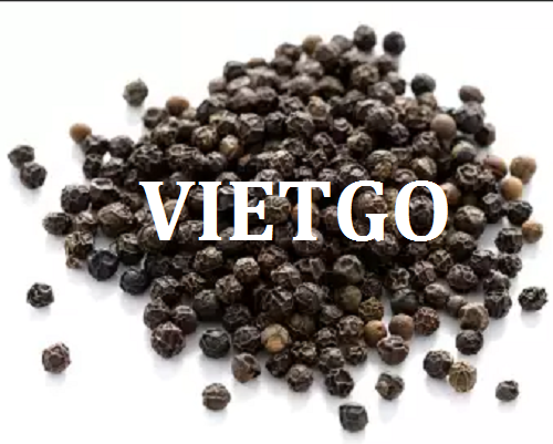 Cơ hội giao thương - Đơn Hàng Thường Xuyên -  Cơ hội xuất khẩu Hạt Tiêu sang thị trường Ấn Độ