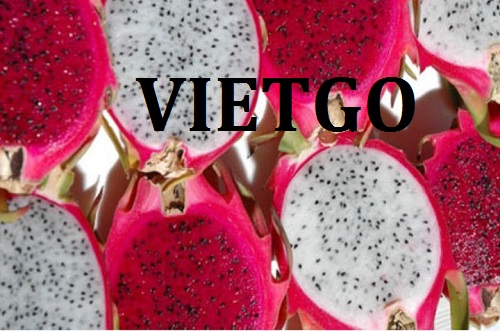 Cơ hội giao thương – Đơn hàng Thường Xuyên - Cơ hội xuất khẩu Thanh Long sang thị trường Trung Quốc.
