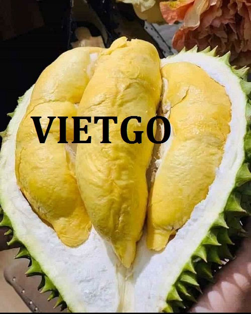 Cơ hội giao thương – Đơn hàng Thường Xuyên - Cơ hội xuất khẩu Sầu Riêng sang thị trường Trung Quốc.