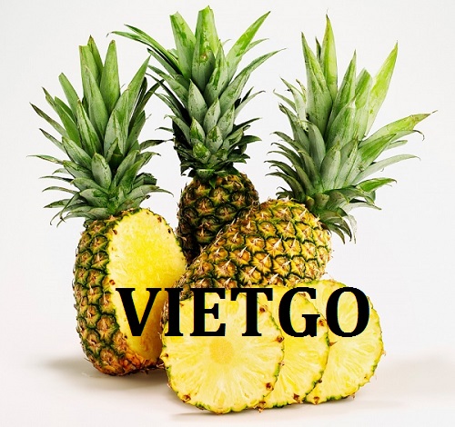 Cơ hội giao thương  - Đơn Hàng Thường Xuyên -  Cơ hội xuất khẩu Quả Dứa sang thị trường Nga
