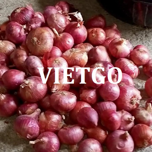 Cơ hội giao thương - Đơn Hàng Thường Xuyên -  Cơ hội xuất khẩu Hành Tây Tím sang thị trường Ấn Độ