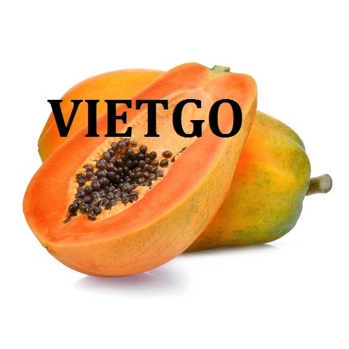 Cơ hội giao thương - Đơn Hàng Thường Xuyên -  Cơ hội xuất khẩu Quả Đu Đủ sang thị trường Ấn Độ