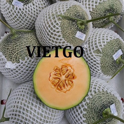 Cơ hội giao thương – Đơn hàng Thường Xuyên - Cơ hội xuất khẩu Dưa lưới sang thị trường Trung Quốc.
