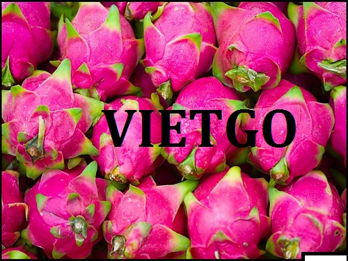 Cơ hội giao thương - Đơn Hàng Thường Xuyên -  Cơ hội xuất khẩu Thanh Long sang thị trường Nhật Bản