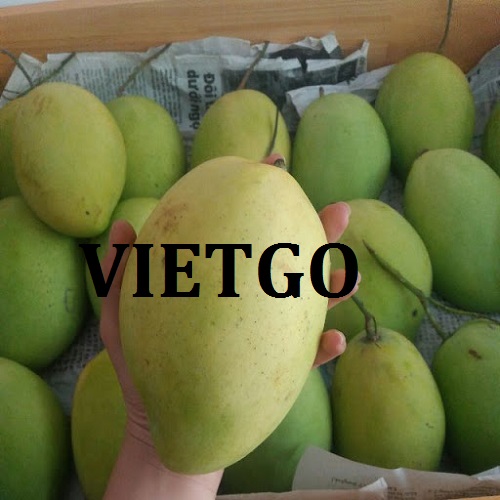 Cơ hội giao thương - Đơn Hàng Thường Xuyên -  Cơ hội xuất khẩu Quả Xoài sang thị trường Nhật Bản